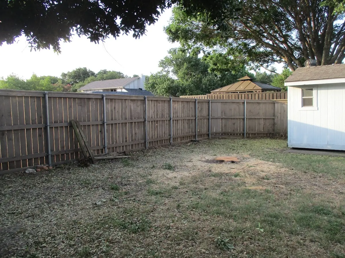 Cleared yard after professional tree removal in Sweet Springs
